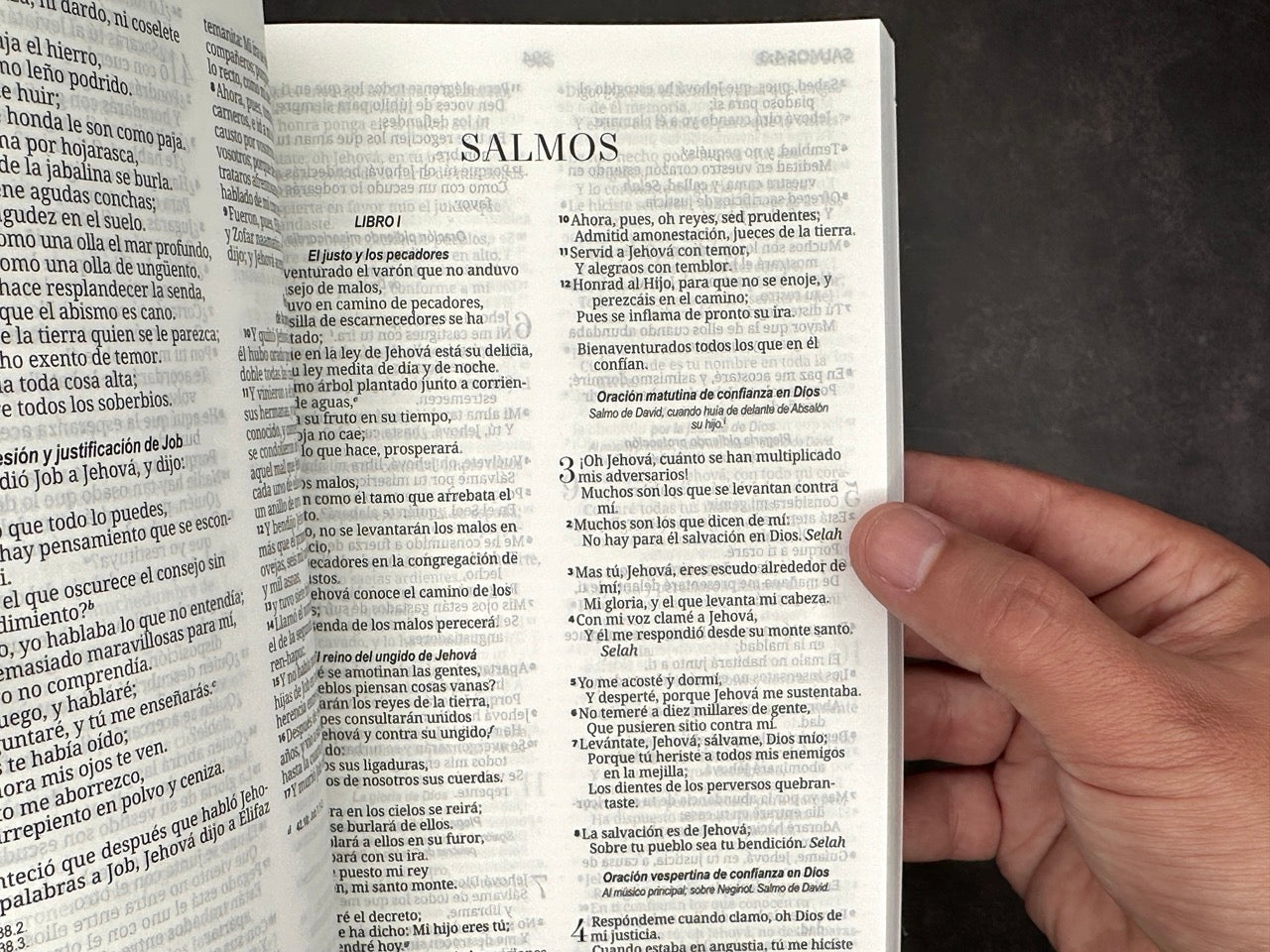 Biblia Economica RVR 1960 rosa
